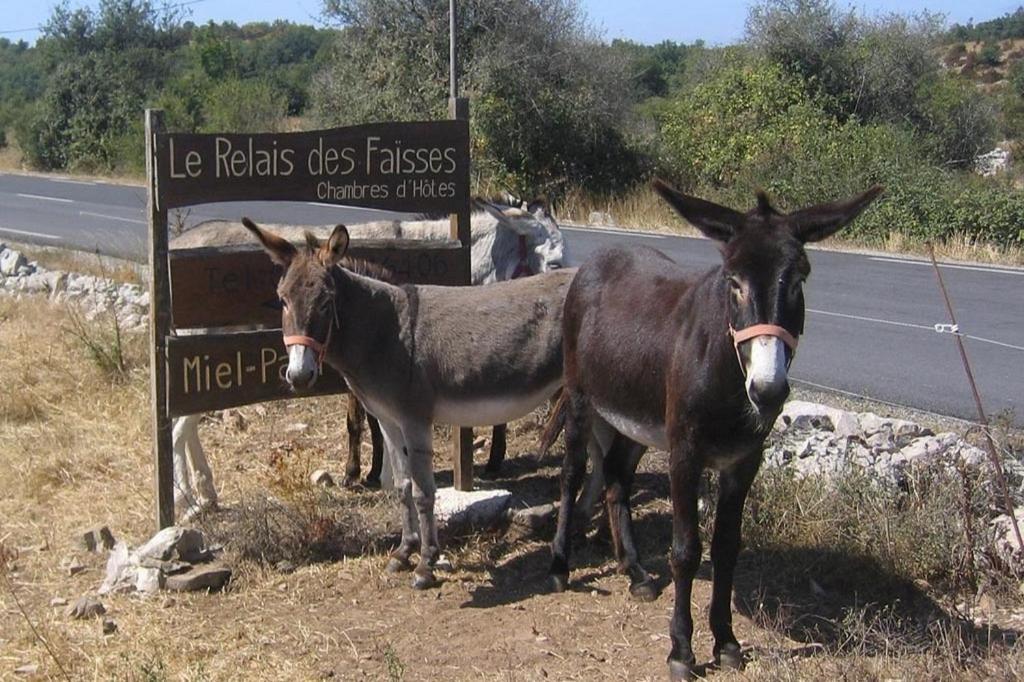 Le Relais Des Faisses Bed & Breakfast La Vacquerie-et-Saint-Martin-de-Castries Dış mekan fotoğraf